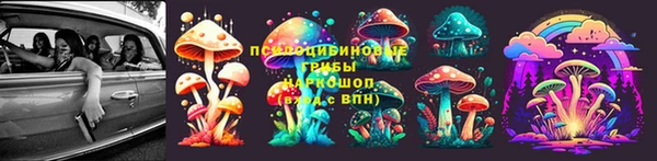 СК Козловка