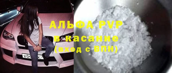 индика Краснотурьинск