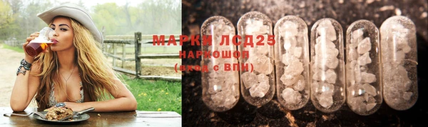 СК Козловка