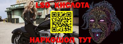 индика Железногорск