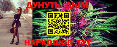 индика Железногорск