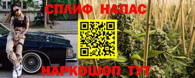 индика Железногорск