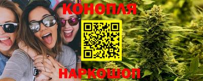 индика Железногорск