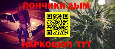 индика Железногорск