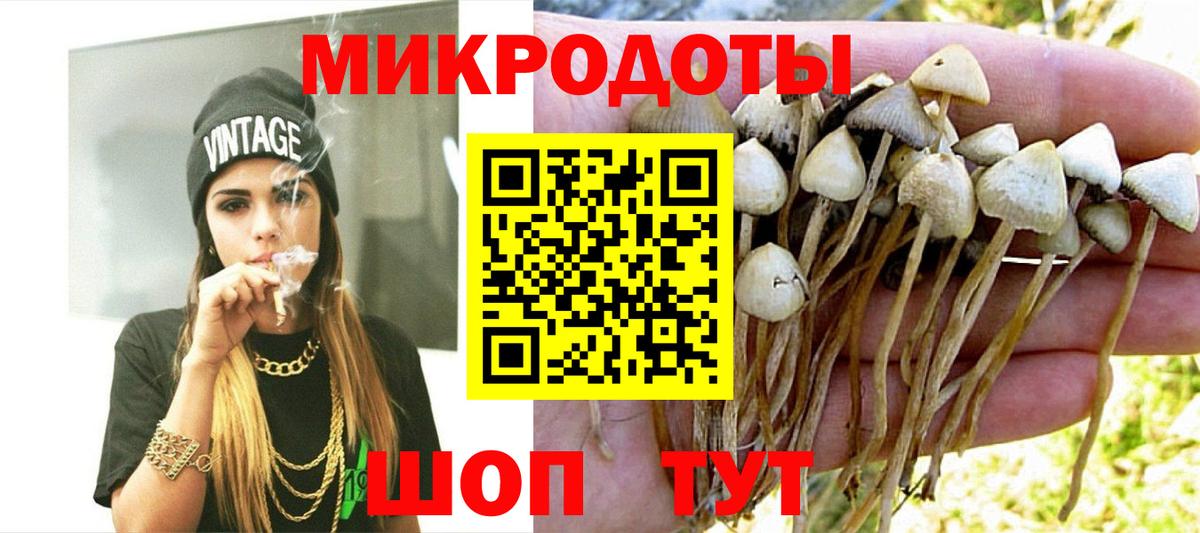 Галлюциногенные грибы мицелий Киржач
