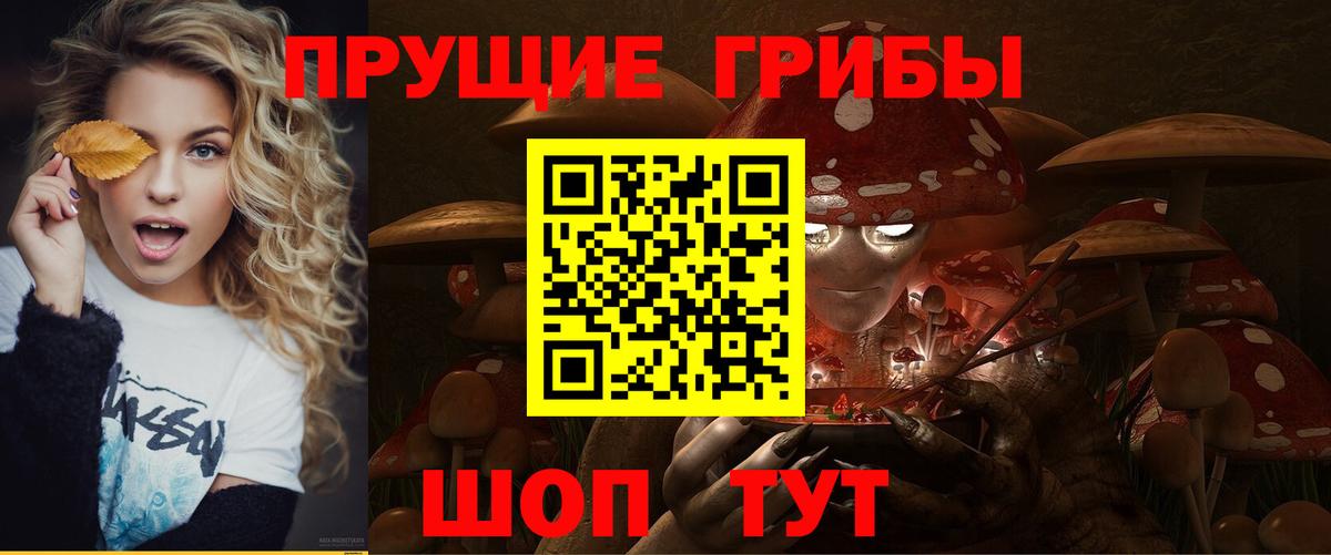 Галлюциногенные грибы мицелий  Псилоцибиновые грибы Psilocybe  Вход с VPN  Киржач 
